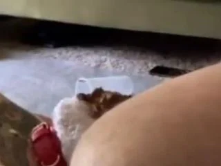 Portapottyqueen – Masters Little Toilet Choked On His Massive Shit screenshot 3