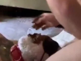Portapottyqueen – Masters Little Toilet Choked On His Massive Shit screenshot 5