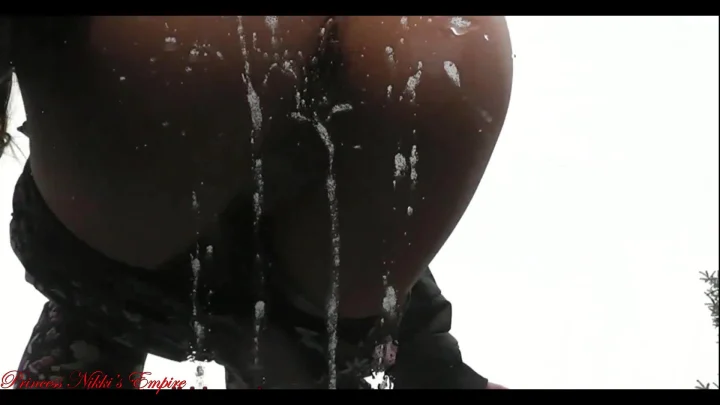 Princess Nikki – Peeing On My Car Inside View