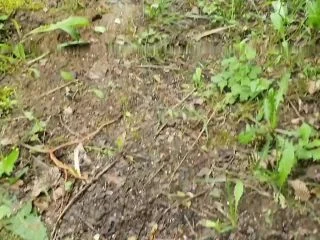 Lady Isabell666 – Outdoor PISSEN screenshot 7