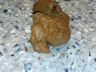 LADYCATX – SANDWICH AND SHIT SPREAD screenshot 1