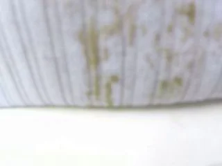 BetweenMyCheeks – The Shittest Ride screenshot 4