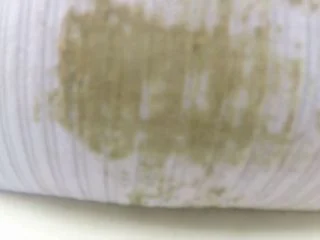 BetweenMyCheeks – The Shittest Ride screenshot 5