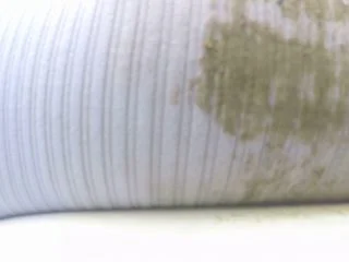 BetweenMyCheeks – The Shittest Ride screenshot 6