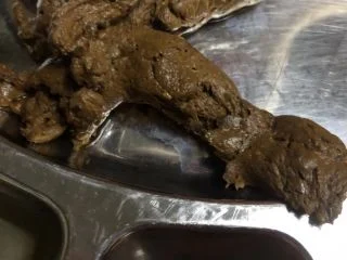 Janet – Eat This Perfect Poop screenshot 5