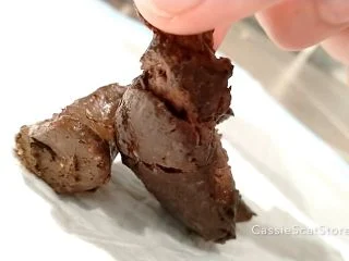 CassieScat – Eat Fart Sniff Dump Taste Dump AGAIN screenshot 6