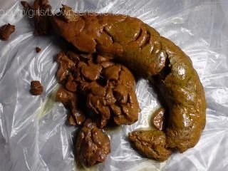 Brownsensations – Big Log And Dirty Toy screenshot 4