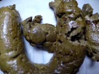 ElenaToilet – Detailed Shit For Toilet Slaves screenshot 7