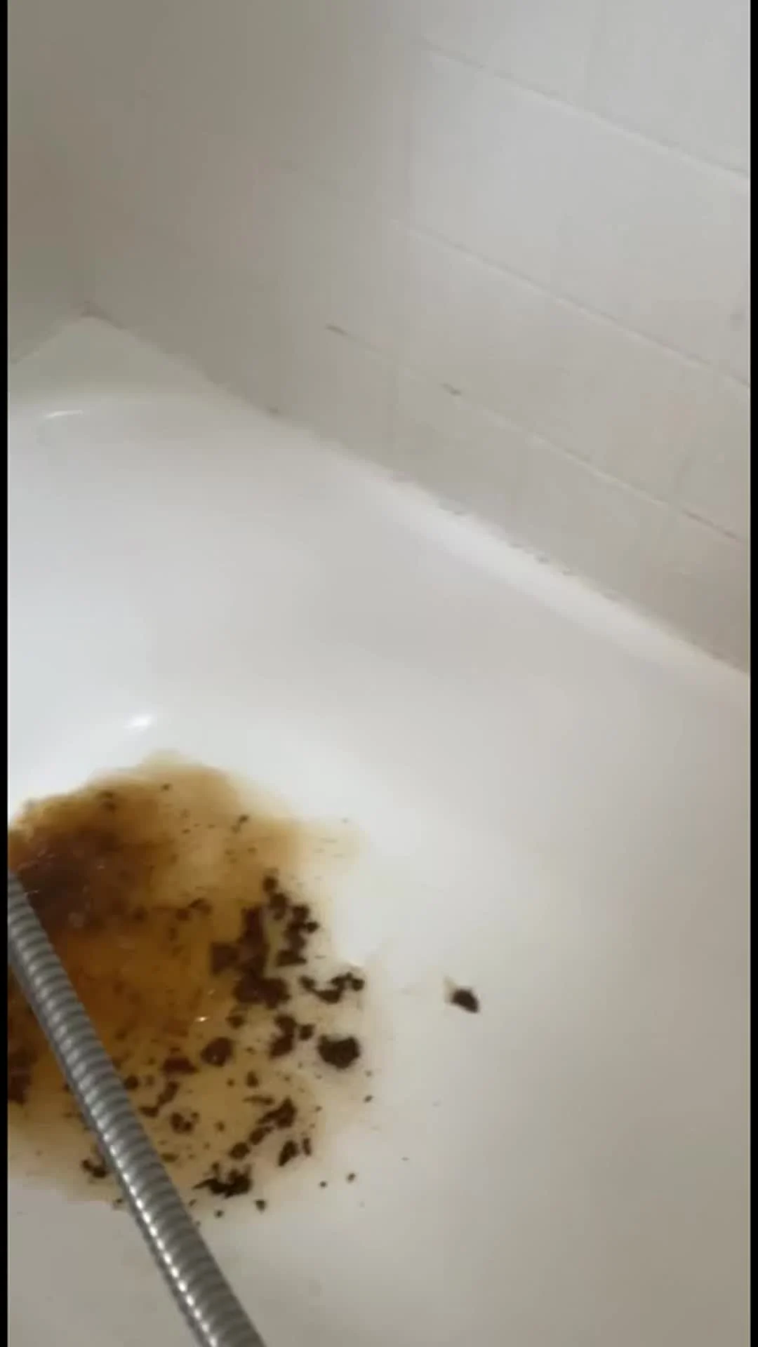 VibeWithMolly – Mexico Diarrhea