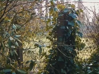 MiaRoxxx – 193. Shitting In Grandmas Garden screenshot 7