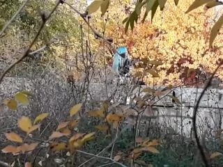 The Girl Peed On The Stranger screenshot 1