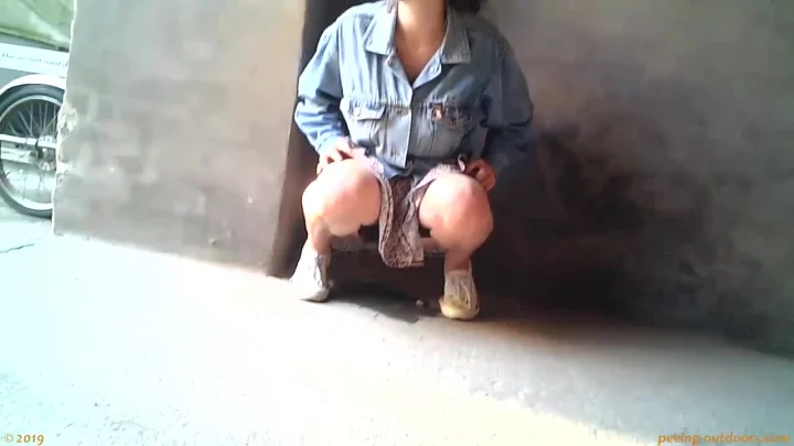 Public Piss Poster 0020