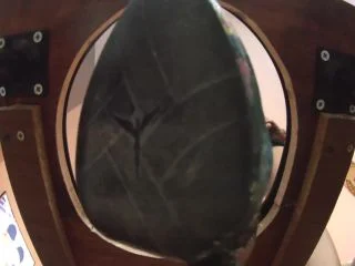 You Are Only A Toilet To Me screenshot 1