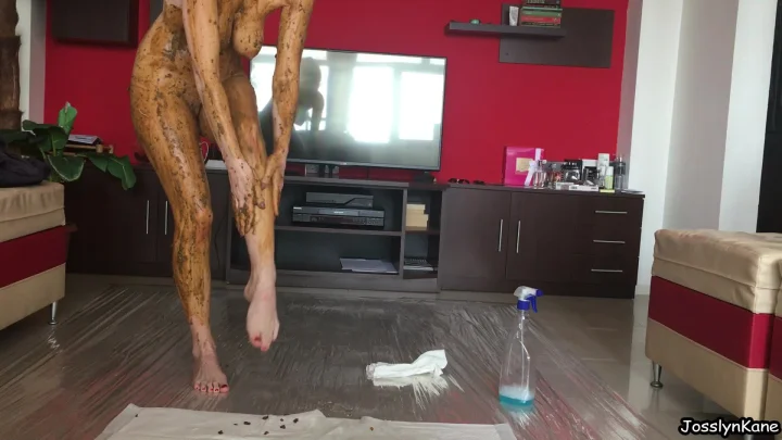 JosslynKane – Fancy Cleaning