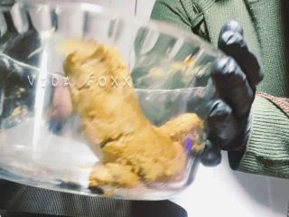 VidaFoxx – I Am Constipated And Cannot Stop Farting screenshot 5