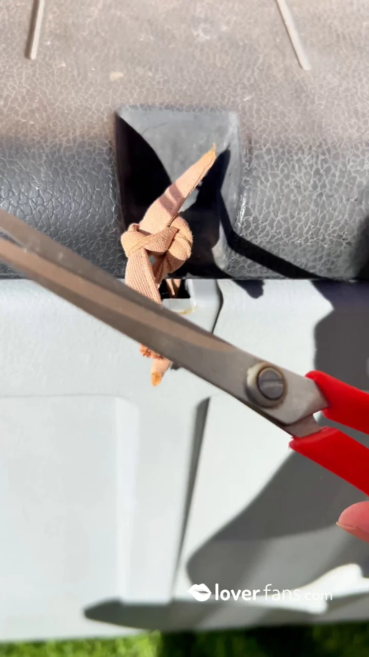 Golden Rain Palace – Waiting For My Return