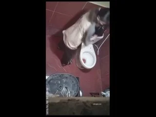 Unexpectedly Spotted Busty Girl Changing Clothes screenshot 2