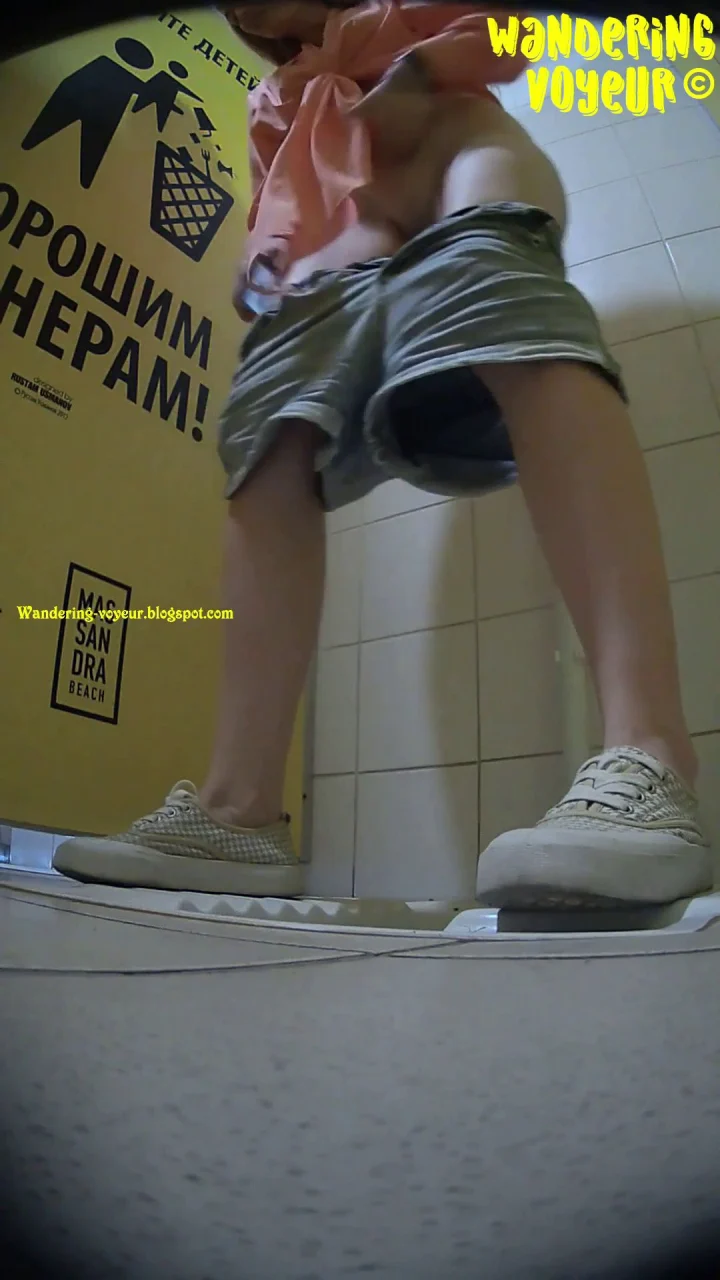 Wandering Beach Toilet 2