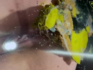 Perverformer – Scat Couple Enjoys Dirty Session On Glass Toilet screenshot 3