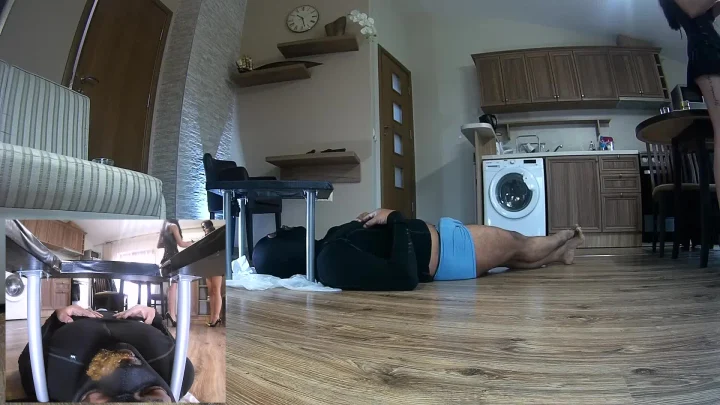 Mistress Nias And My Cow Shit