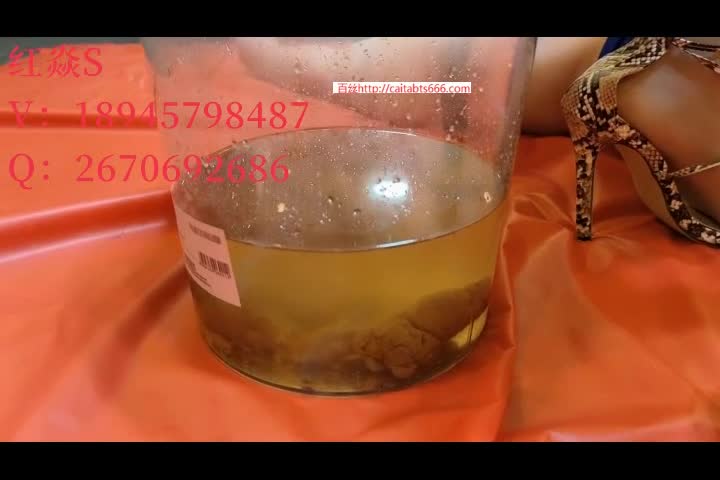 Asian Mistress Hong Yan 25 WC