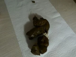 Markovna – Pooping Through Thong screenshot 6