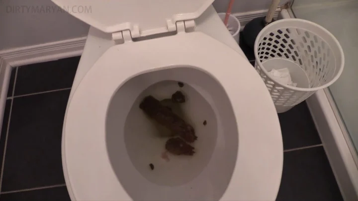 DirtyMaryan – Morning Turd Sniffing Toilet Paper And My Asshole Is Burning