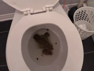 DirtyMaryan – Morning Turd Sniffing Toilet Paper And My Asshole Is Burning screenshot 5