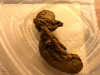 Gassy – Gassys Scat Joi Plus screenshot 5