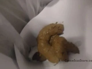 CassieScat – Desperate While Folding Laundry-Pooping In A Trashcan screenshot 7
