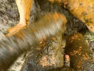 Lyndra Lynn – Nearly Caught On The Dung Pile screenshot 5