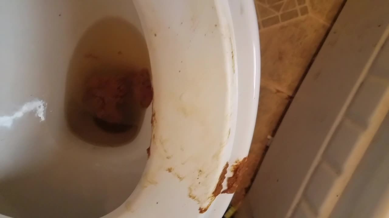 Amberbooty – Toilet Cam 5.0 – Big Ebony Ass Shitting