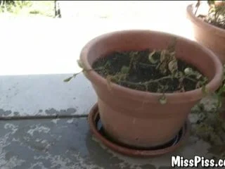 Watering The Tomatoes screenshot 3