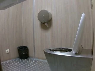 Street Toilet screenshot 4
