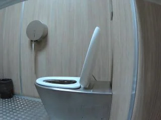 Street Toilet screenshot 5