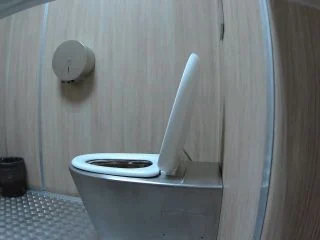 Street Toilet screenshot 7
