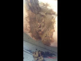 Dirty Pussy Stuffing screenshot 7