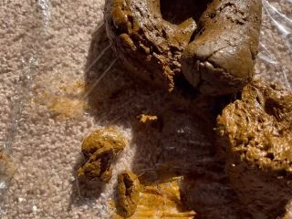 Sophia Sprinkle – Poopin On Sunshine screenshot 7