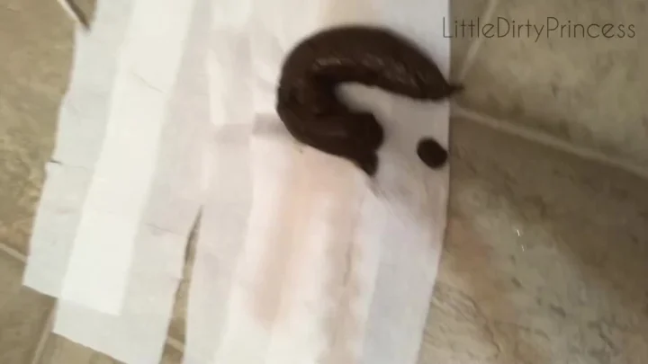 LittleDirtyPrincess – I Ate A Lot Of Nice Things To Make You This Nice Turd