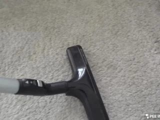 Adela Koutnicka – House Cleaning screenshot 3