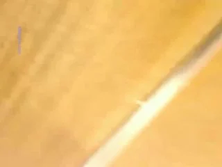 Owner Of The Fried Chicken Shop Pee screenshot 2