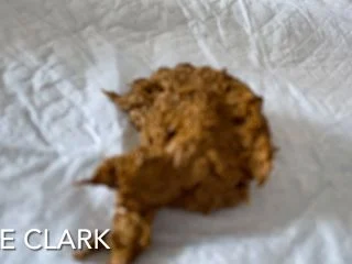 ElleClarkScatQueen – Shitting In A Diaper screenshot 6