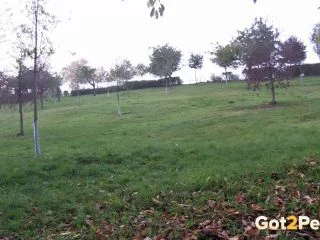 Two Targets screenshot 1