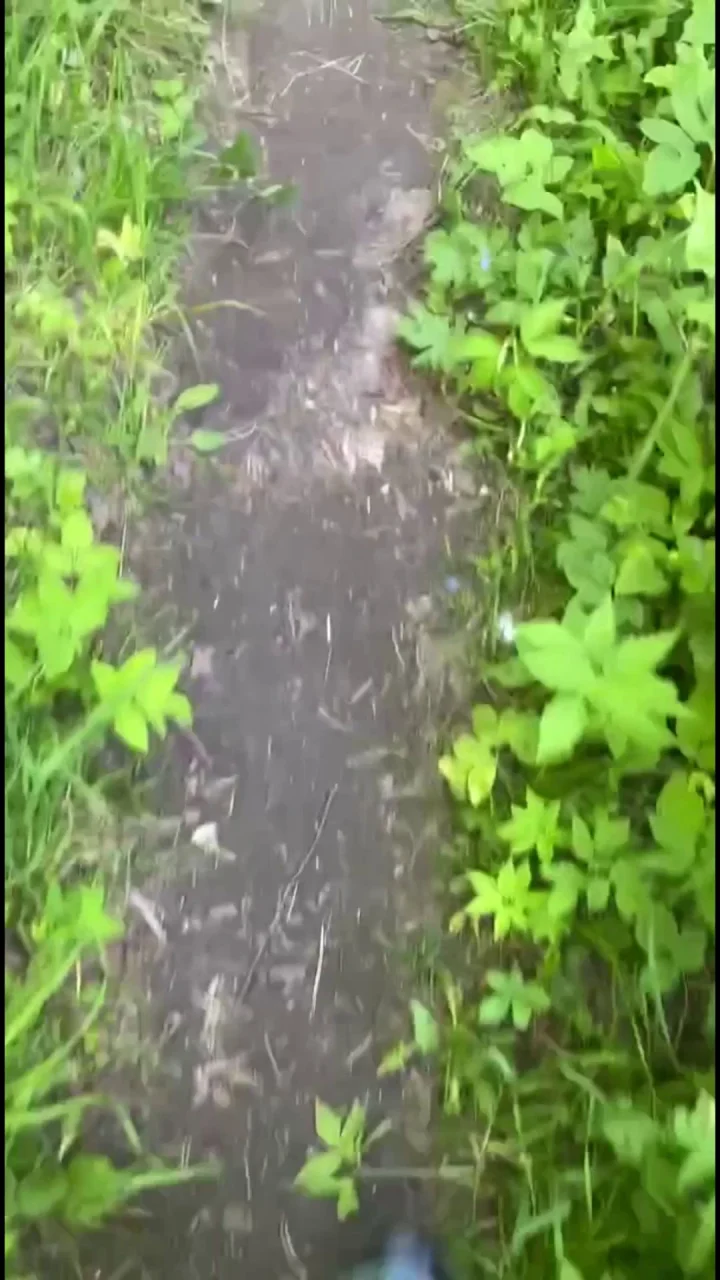 PooGirl – Week At The Dacha Piss And Shit