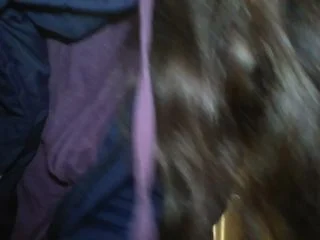 Pinkmoonlust – Free Public Restroom Gas Station Toilet screenshot 5