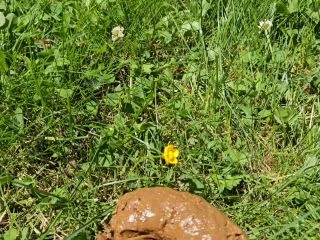 Nerdy Faery – Poop And Pee Fountain In My Garden screenshot 7