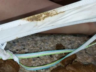 Ladycatx – Shit Smearing And Anal Play – Good Shit screenshot 2