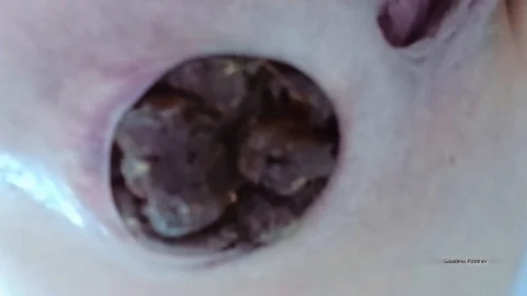 Goddess_Panther_-_Constipated_Dose_In_Your_Mouth