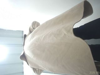 Upgraded Camera For Ultimate Visual Experience 12 2 screenshot 7