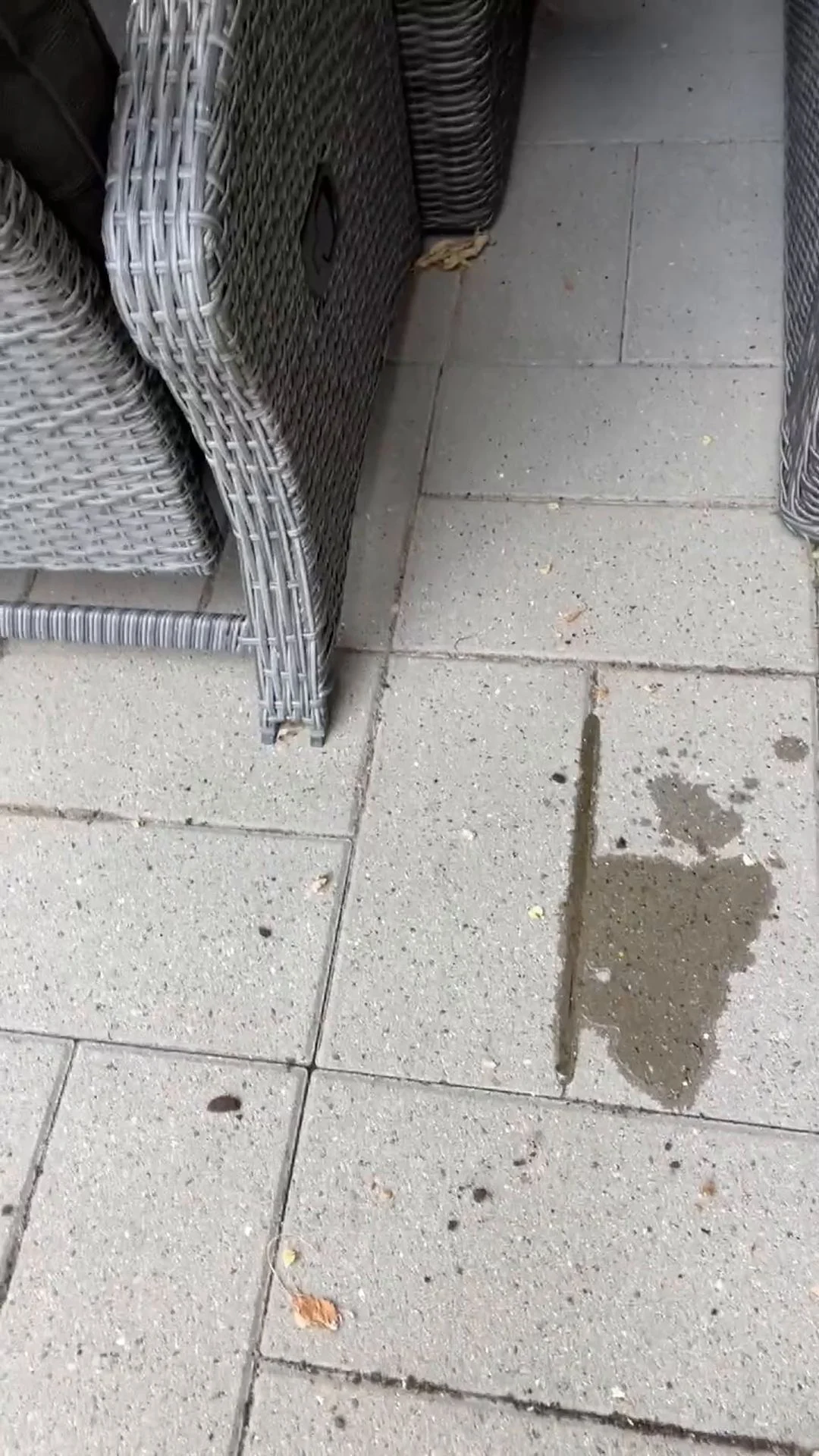Pissing Compilation 1